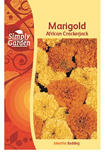 Simply Garden Marigold African Crackerjack Flower Seeds Grow Your Own Plants