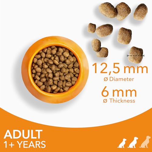 IAMS Complete Dry Dog Food for Adult 1and Small and Medium Breeds with Chicken 800 g