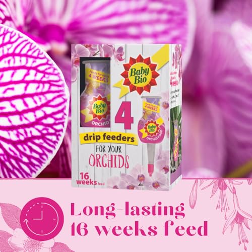 Baby Bio Automatic Orchid Drip Feeders, 4 x 40ml - Ready To Use Plant Food - Easy Care for Supporting Healthy Growth and Vibrant Flowering