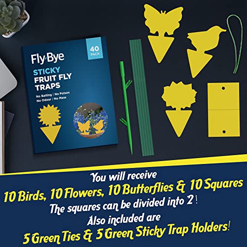 Fly-Bye - 40x Sticky Fruit Fly Traps - Fruit Fly Paper - Fruit Fly Papers Indoors - Fruit Fly Killer - Fungus Gnat Killer - Sticky Gnat Trap - No Poison/Odour or Mess - Value 40 pack