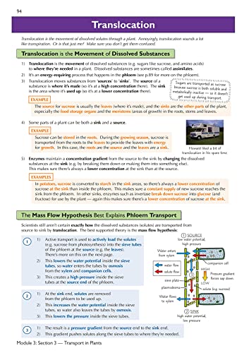 A-Level Biology: OCR A Year 1 & 2 Complete Revision & Practice w/Online Edition (For exams in 2024) (CGP OCR A A-Level Biology)