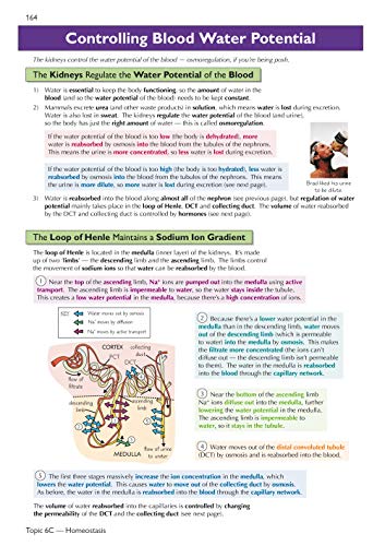 A-Level Biology: AQA Year 1 & 2 Complete Revision & Practice with Online Edition: ideal for the 2024 and 2025 exams (CGP AQA A-Level Biology)