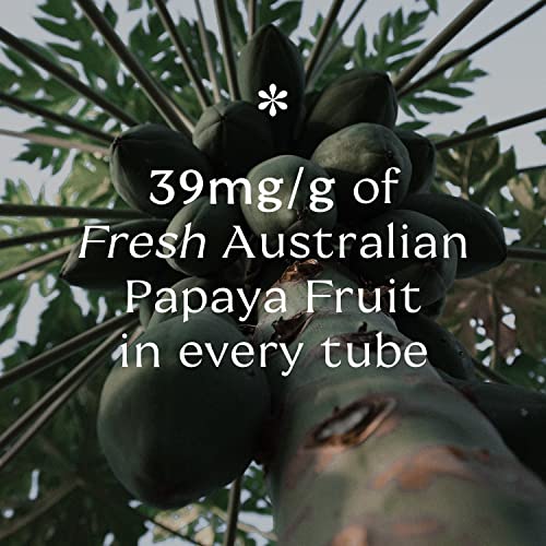 Pure Paw Paw Original All Purpose Australian Ointment to Smooth and Soothe, Suitable For Lips, All Skin Types and Makeup 25g