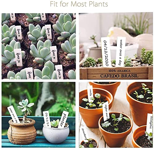 Plastic Plant Labels, 150Pcs Plant Tags Garden Plant Labels Plant Labels for Garden Seed Potted Herbs Flowers Vegetables, Multicolor