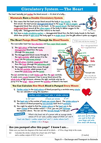 New GCSE Biology Edexcel Revision Guide includes Online Edition, Videos & Quizzes: for the 2024 and 2025 exams (CGP Edexcel GCSE Biology)