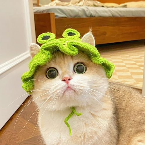 Zhouocea 1 PCS Cat Hat Cute Frog Shape Pet Cap Halloween Cat Kitten Halloween Costumes Cat Birthday Hat for Christmas Birthday