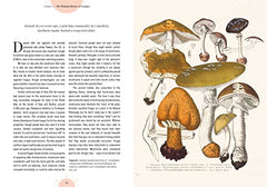 Kew - The Magic of Mushrooms: Fungi in folklore, superstition and traditional medicine