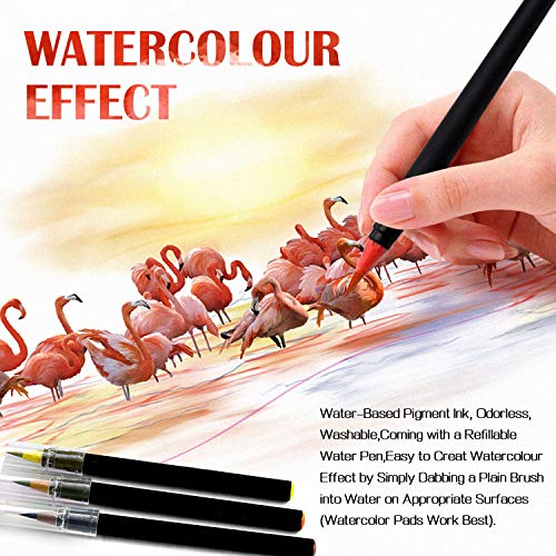 Amteker Gifts for Teenage Girls, Watercolour Brush Pens Set, 24and1 Brush Pens with Soft Flexible Felt Tip Pen, Art Supplies Pens, Art Set for Kids