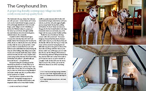 Dog Friendly Britain: Cool Places to Stay with your Dog