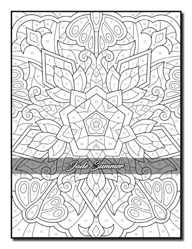 Color by Number Patterns: An Adult Coloring Book with Fun, Easy, and Relaxing Coloring Pages (Color by Number Coloring Books)