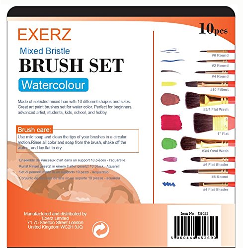 Exerz Artist Paint Brush Set – 10 pcs Professional Mixed Bristle Brushes in a Travel Case/Perfect for WaterColour Acrylic Gouache - Watercolour