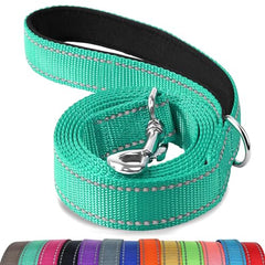 Joytale Padded Handle Dog Lead,Double-Sided Reflective Nylon Dogs Leads for Training,Walking Leash for Large, Medium Dogs, 1.8m × 2.5cm, Teal