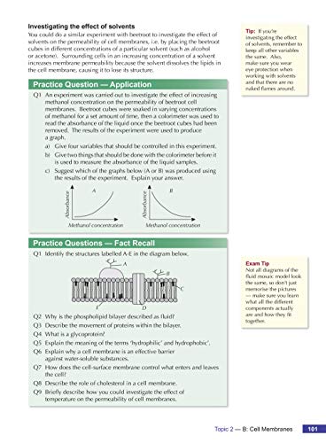 A-Level Biology for AQA: Year 1 & 2 Student Book with Online Edition: course companion for the 2024 and 2025 exams (CGP AQA A-Level Biology)