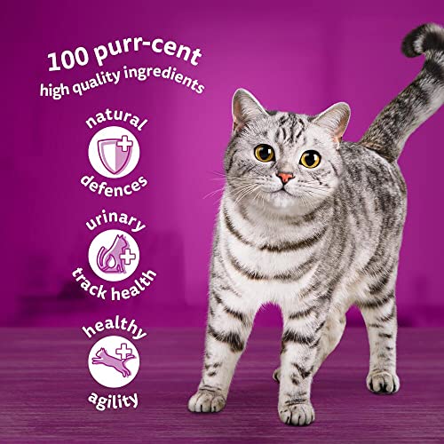 Whiskas 7and Poultry Selection in Jelly, Senior Cat Food, 12 x 85g