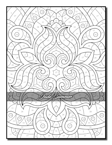 Color by Number Patterns: An Adult Coloring Book with Fun, Easy, and Relaxing Coloring Pages (Color by Number Coloring Books)