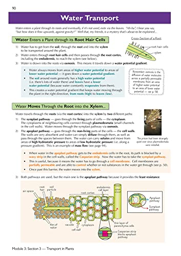 A-Level Biology: OCR A Year 1 & 2 Complete Revision & Practice w/Online Edition (For exams in 2024) (CGP OCR A A-Level Biology)