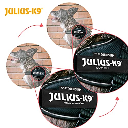 Julius-K9 IDC Powerharness, Blue, 2 XS/Baby 2