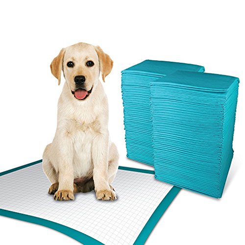 Simple Solution Extra Large Absorbent Premium Dog and Puppy Training Pads -Pack of 10