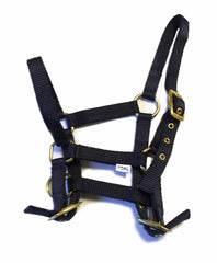 Rhinegold Nylon Foal Headcollar - Navy