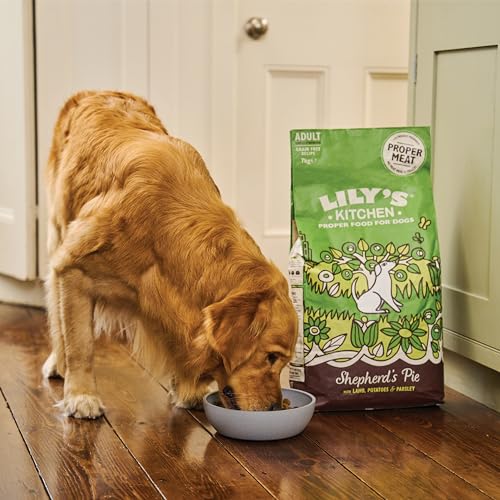 Lily's Kitchen Natural Grain Free Complete Adult Dry Dog Food - Lamb Shepherd's Pie (2.5kg Bag)