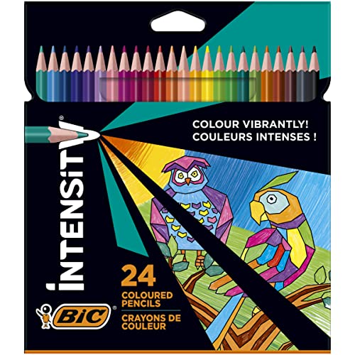 BIC Intensity Coloured Pencils, Vibrant Colouring Pencils, School Supplies for Kids or Adults, 24 Pack