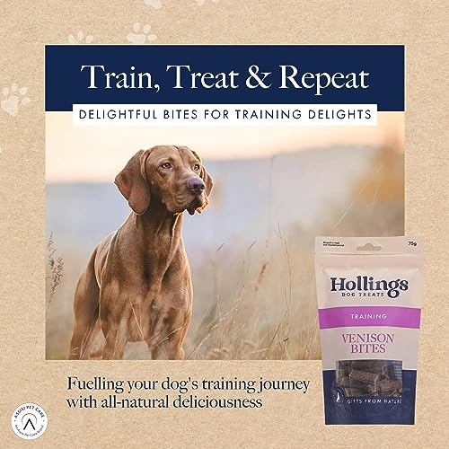 Hollings Venison Bites Dog Training Treats, Delicious Venison Treats for Adult Dogs, High in Protein & Made with 100% Natural Ingredients (75g)