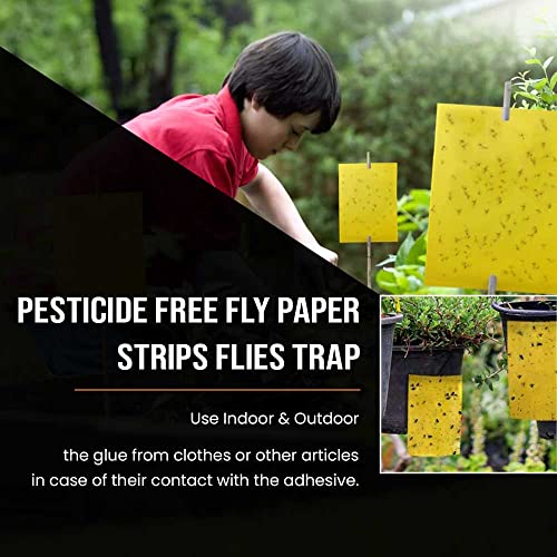 FIRST CHOICE KAYA Pesticide Free Fly Paper Strips Flies Trap Indoor Outdoor Use Sticky Fly Catcher for Insects Moths Mosquitoes Sold by KAYA LTD (8)