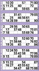 Jumbo Bingo Tickets pads 6 to view (Lilac)