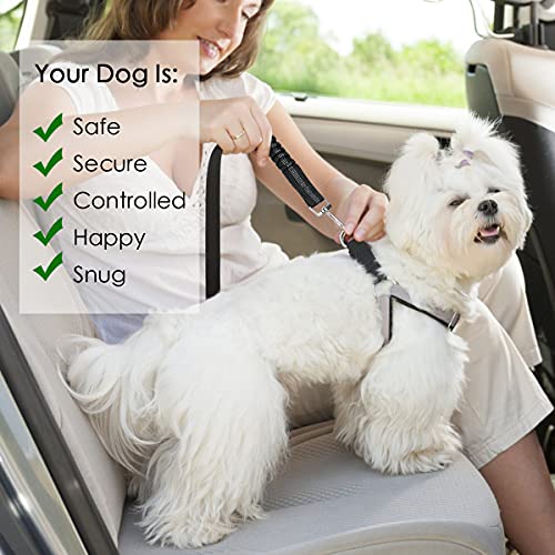 URAQT Dog Car Seat Belt, 2 Pack Adjustable Durable Headrest Pet Seat Belt, Pet Dog Car Safety Harness Restraint with Explosion Proof Impact Elastic Buffer, Heavy Duty Durable Pet Travel Accessories