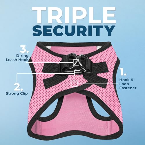 Best Pet Supplies Voyager Step-in Air Dog Harness - All Weather Mesh Step in Vest Harness for Small and Medium Dogs by - Harness (Pink/Black Trim), XX-Small