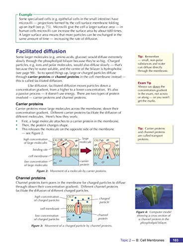 A-Level Biology for AQA: Year 1 & 2 Student Book with Online Edition: course companion for the 2024 and 2025 exams (CGP AQA A-Level Biology)