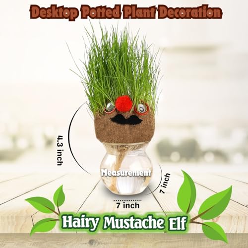 Grow Your Own Kits - Grow Your Own Hairy Mustache Man - Perfect and Funny Gift for Men Women Kids - Fresh Grass Plant for Home and Garden Decoration