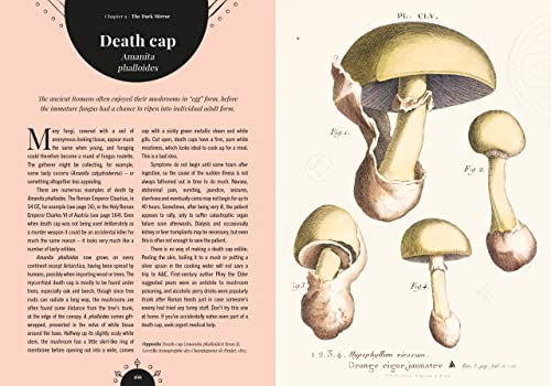 Kew - The Magic of Mushrooms: Fungi in folklore, superstition and traditional medicine