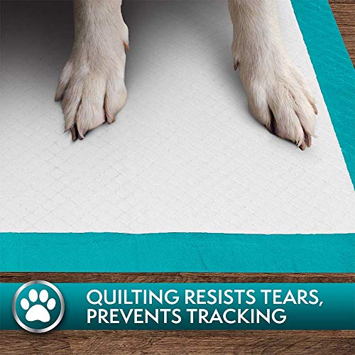 Simple Solution Extra Large Absorbent Premium Dog and Puppy Training Pads -Pack of 10