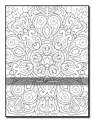 Color by Number Patterns: An Adult Coloring Book with Fun, Easy, and Relaxing Coloring Pages (Color by Number Coloring Books)