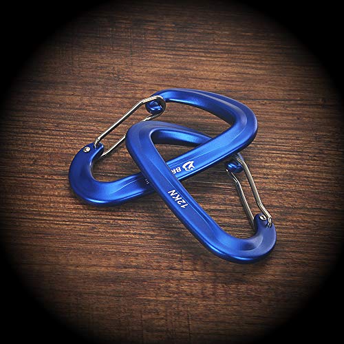 Brotree 12KN Carabiner Clips Heavy Duty Carabiners for Hammock, Camping, Hiking, Backpack and More (2 or 4 Packs)