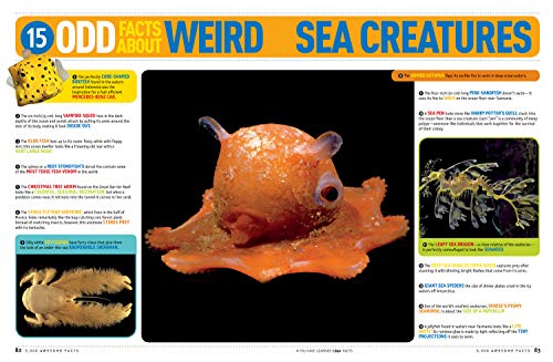 5,000 Awesome Facts (About Everything!) (National Geographic Kids)