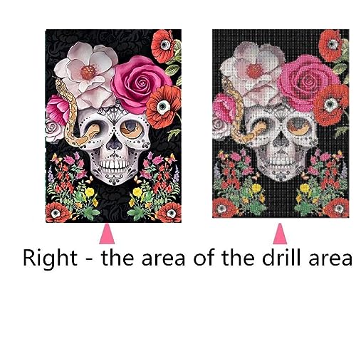 VARHHUXHA Diamond Painting Kit, Skull Flower Complete 5D Diamond Embroidery Cross Stitch Painting Kit, Crystal Diamond Canvas for Kids and Adults, Home Wall Decor