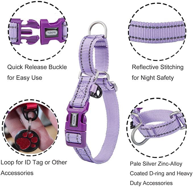 Petiry Martingale Collars with Quick Snap Buckle,Reflective Anti-escape Dog Training Collars for Medium Large Dogs Neck 38-50cm(Lilac,L)