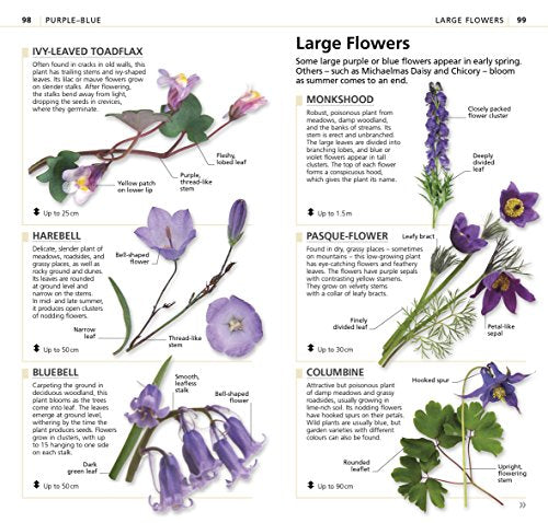 What's that Flower?: The Simplest ID Guide Ever