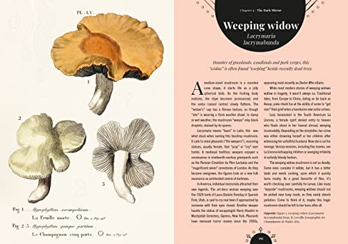 Kew - The Magic of Mushrooms: Fungi in folklore, superstition and traditional medicine