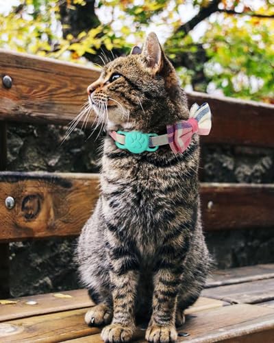 Joytale Cat Collar with Bell and Bow Tie, Quick Release Safety Collars for Kitten and Cats, Soft Tartan Collar, 2 Pack, Haze blueandPink