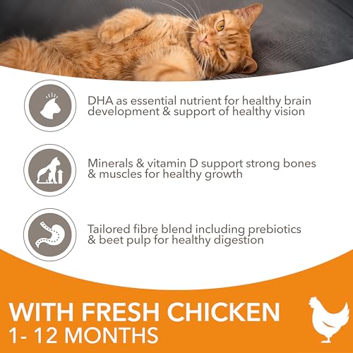 IAMS for Vitality Dry Kitten Food with Fresh Chicken, 3 kg, Packaging may vary