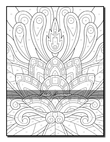 Color by Number Patterns: An Adult Coloring Book with Fun, Easy, and Relaxing Coloring Pages (Color by Number Coloring Books)