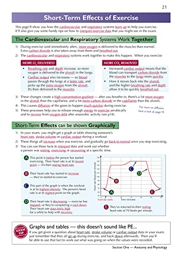 New GCSE Physical Education Edexcel Complete Revision & Practice (with Online Edition and Quizzes) (CGP Edexcel GCSE PE)