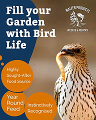 Walter’s Meal Worms (5L) - Dried Mealworms for Wild Birds, Bird Food in Stay Fresh, Refill Bags