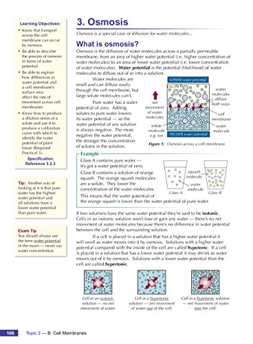 A-Level Biology for AQA: Year 1 & 2 Student Book with Online Edition: course companion for the 2024 and 2025 exams (CGP AQA A-Level Biology)