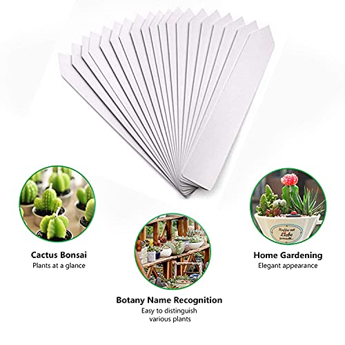 Plastic Plant Labels, 150Pcs Plant Tags Garden Plant Labels Plant Labels for Garden Seed Potted Herbs Flowers Vegetables, Multicolor