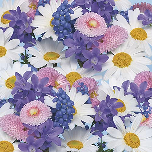 DAISY 3-Ply Spring Flowers Tissue Paper Napkins Serviettes for Decoupage Lunch 33cm x - Pack of 20 (Fresh Background)