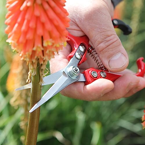 Darlac Ergo Gardening Snips – Strong, Lightweight Gardening Scissors Ideal for Houseplants and Flower Arranging – Razor Sharp, Pocket-Sized Pruners - SK5 High Carbon Steel Blade